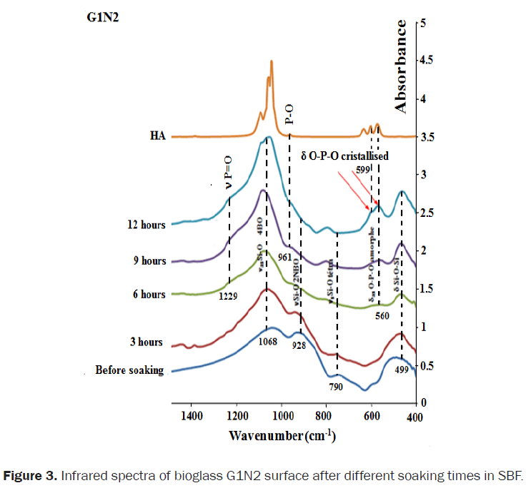 material-sciences-infrared-spectra-bioglass