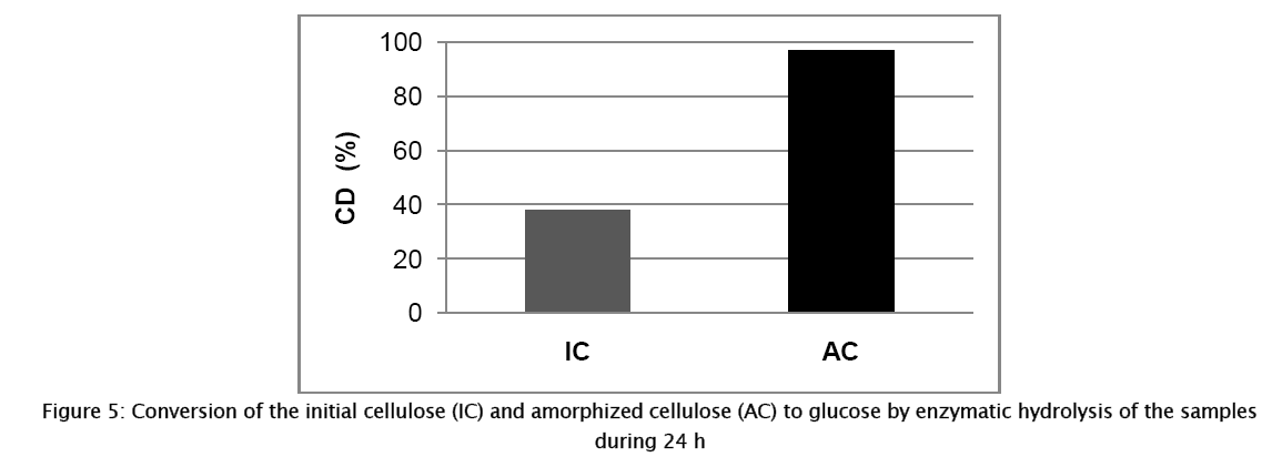 material-sciences-initial-cellulose