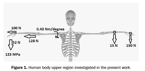 material-sciences-investigated