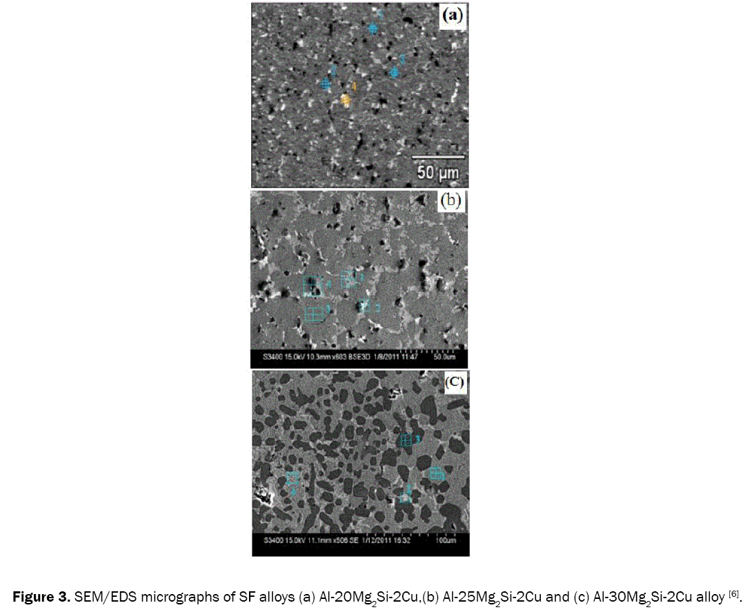 material-sciences-micrographs