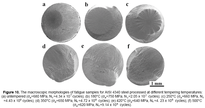 material-sciences-morphologies