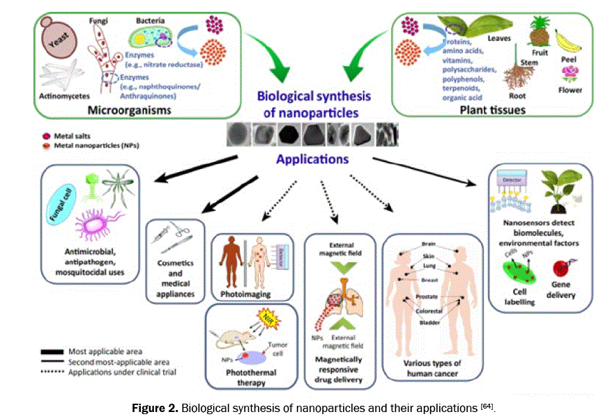 material-sciences-nanoparticles