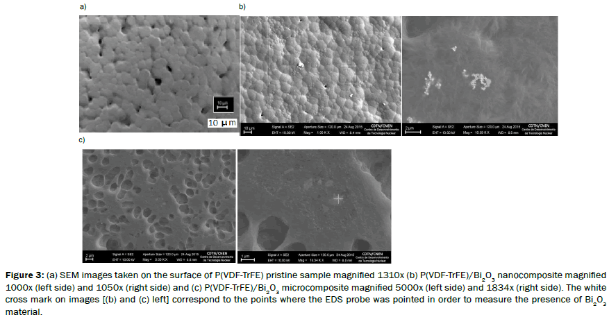 material-sciences-pointed-pristine-magnified