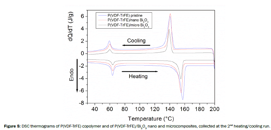 material-sciences-thermograms-copolymer-nano