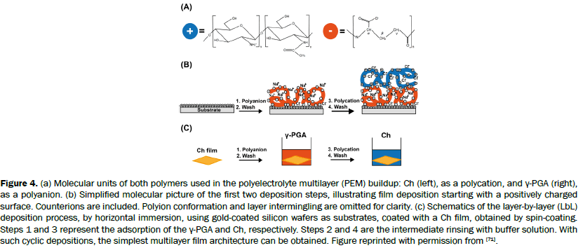 material-sciences-polyelectrolyte