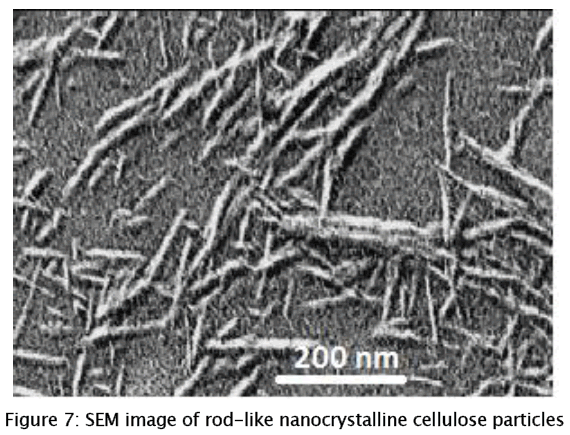 material-sciences-rod-like-nanocrystalline