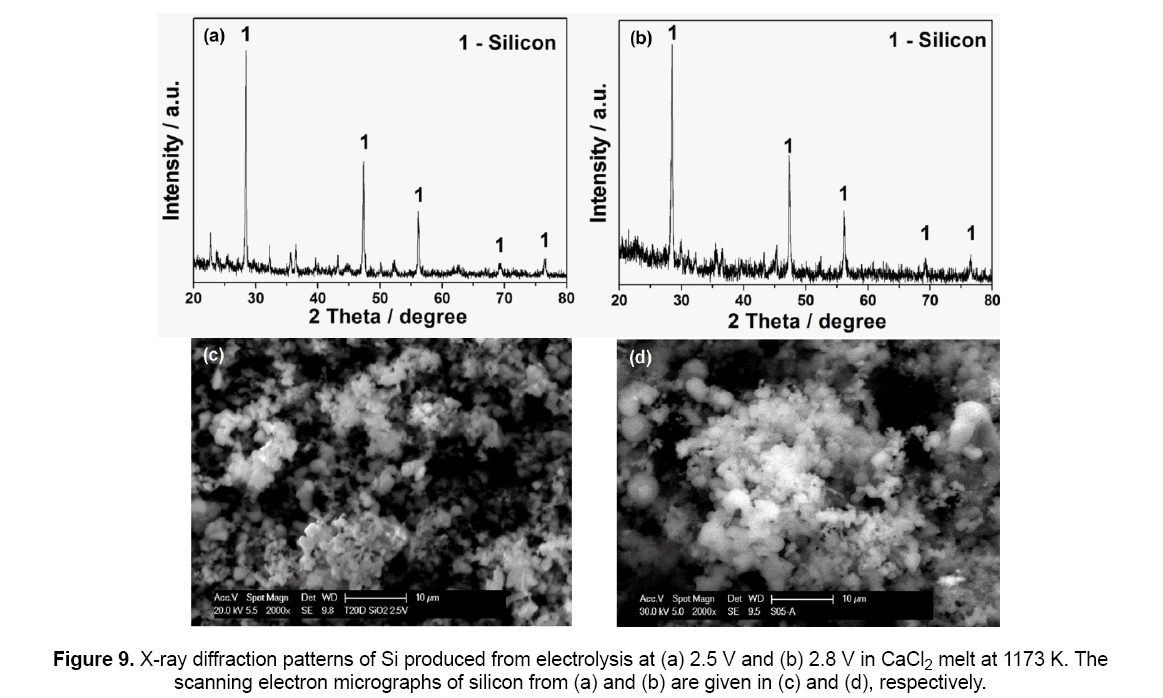 material-sciences-scanning-electron-micrographs