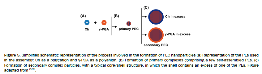 material-sciences-schematic