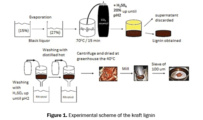 material-sciences-scheme