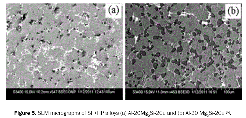 material-sciences-sem-micrographs