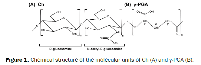 material-sciences-structure