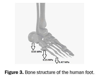 material-sciences-structure