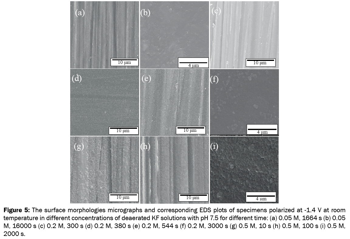 material-sciences-surface-morphologies