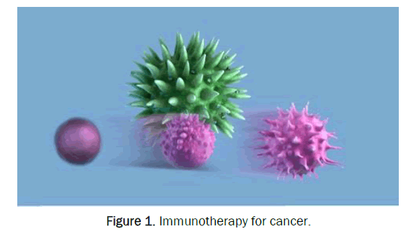 medical-and-health-sciences-Immunotherapy-cancer