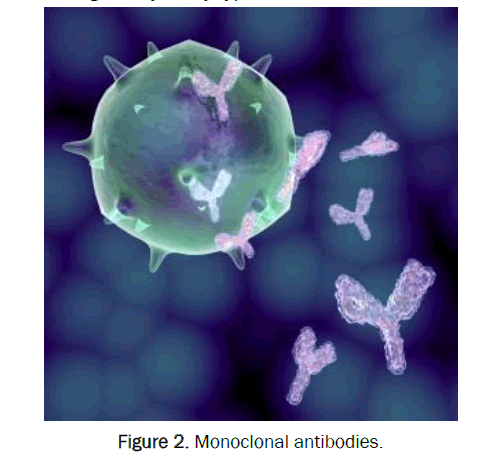 medical-and-health-sciences-Monoclonalp-antibodies
