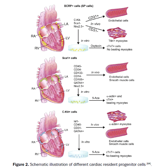 -and-health-sciences-Schematic-illustration