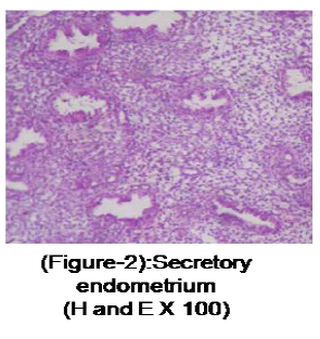 medical-and-health-sciences-Secretory-endometrium