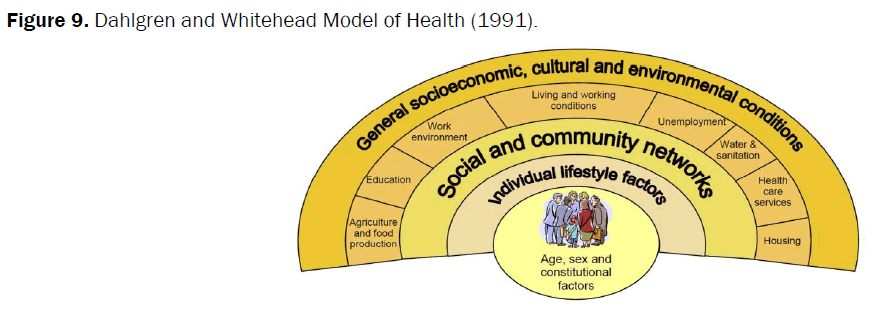 medical-and-health-sciences-whitehead-model