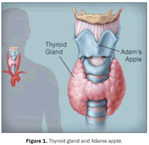 medical-health-sciences