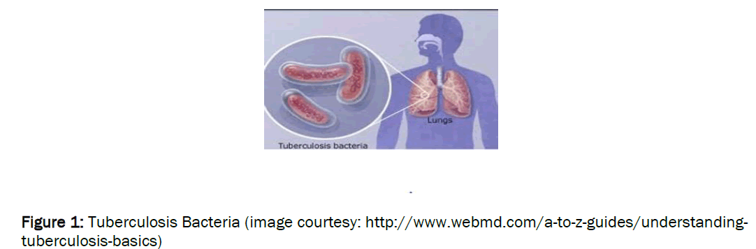 medical-health-sciences-Tuberculosis-Bacteria