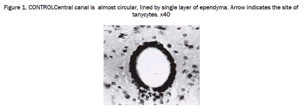 medical-health-sciences-circular-lined