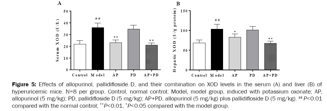 medicinal-organic-chemistry-Effects-allopurinol-pallidifloside-D