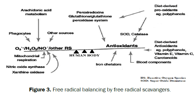 medicinal-organic-chemistry-Free-radical