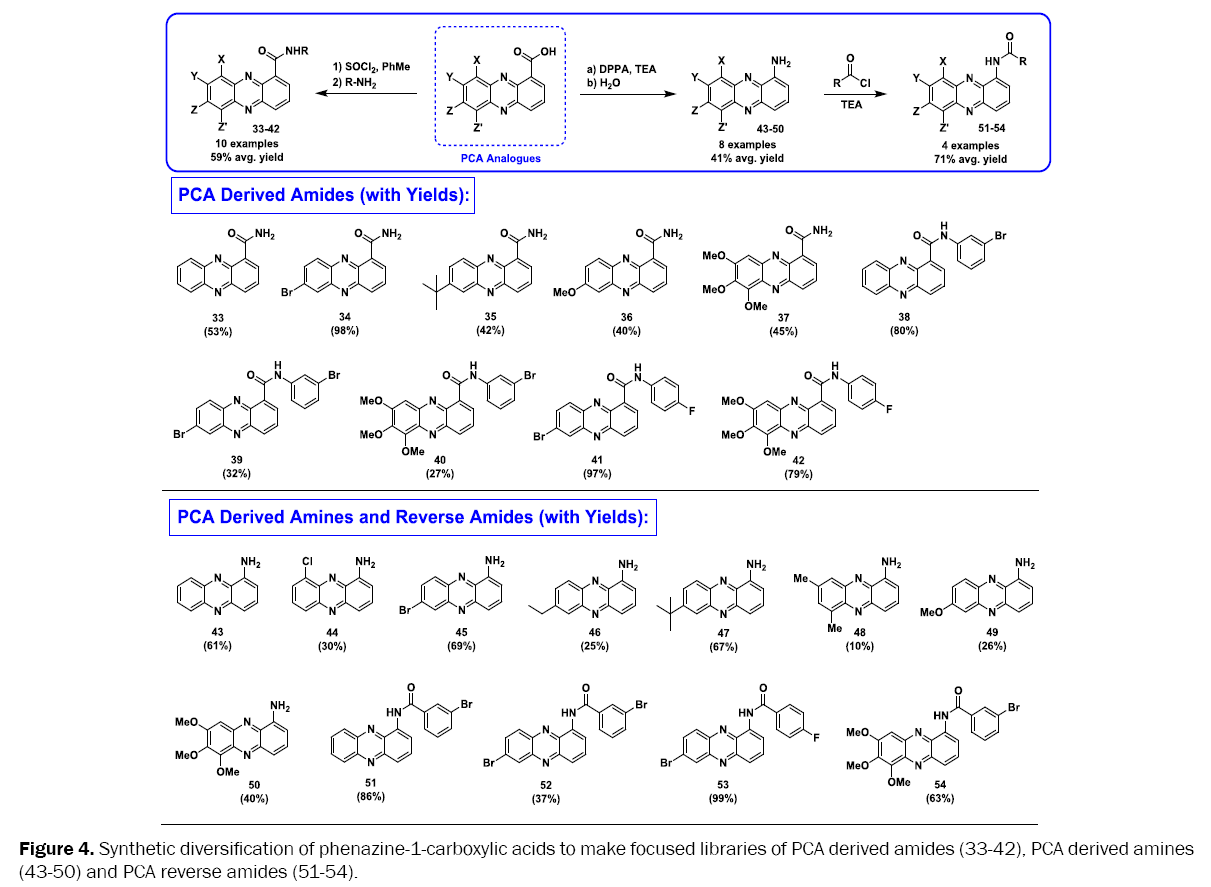 medicinal-organic-chemistry-PCA-derived-amines