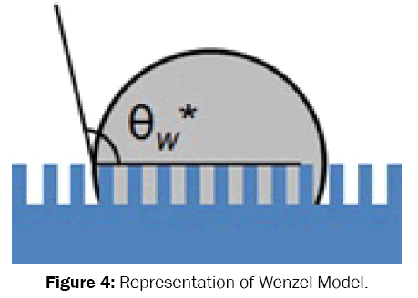 medicinal-organic-chemistry-Wenzel-Model