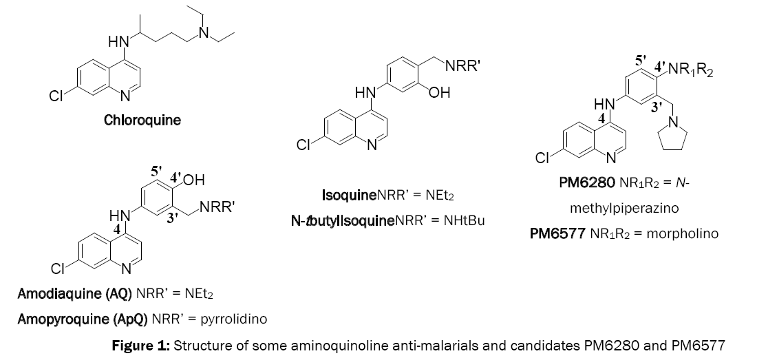 medicinal-organic-chemistry-anti-malarials