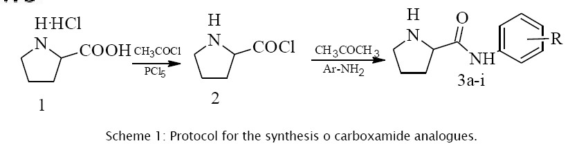 medicinal-organic-chemistry-carboxamide-analogues