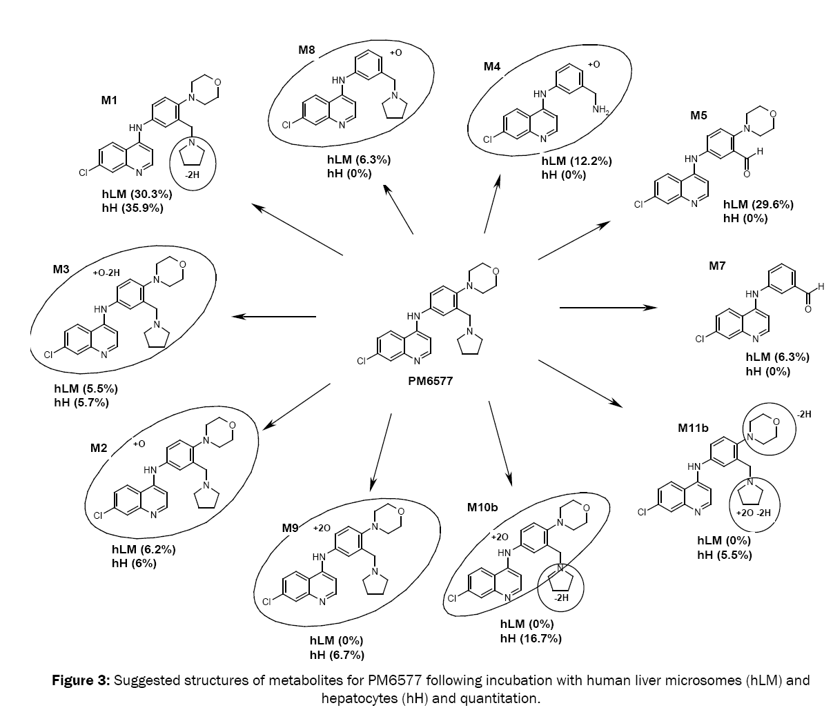 medicinal-organic-chemistry-metabolites-PM6577