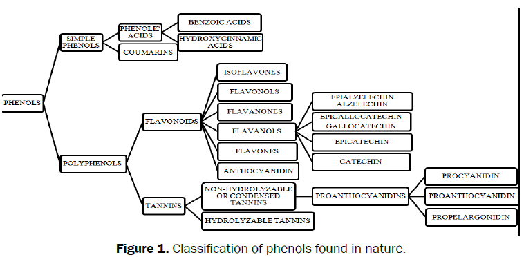 medicinal-organic-chemistry-phenols-found