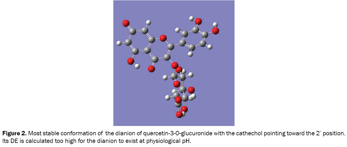 medicinal-organic-chemistry-quercetin-3-O-glucuronide