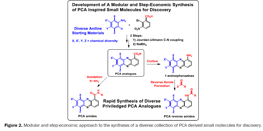 medicinal-organic-chemistry-step-economic-approach