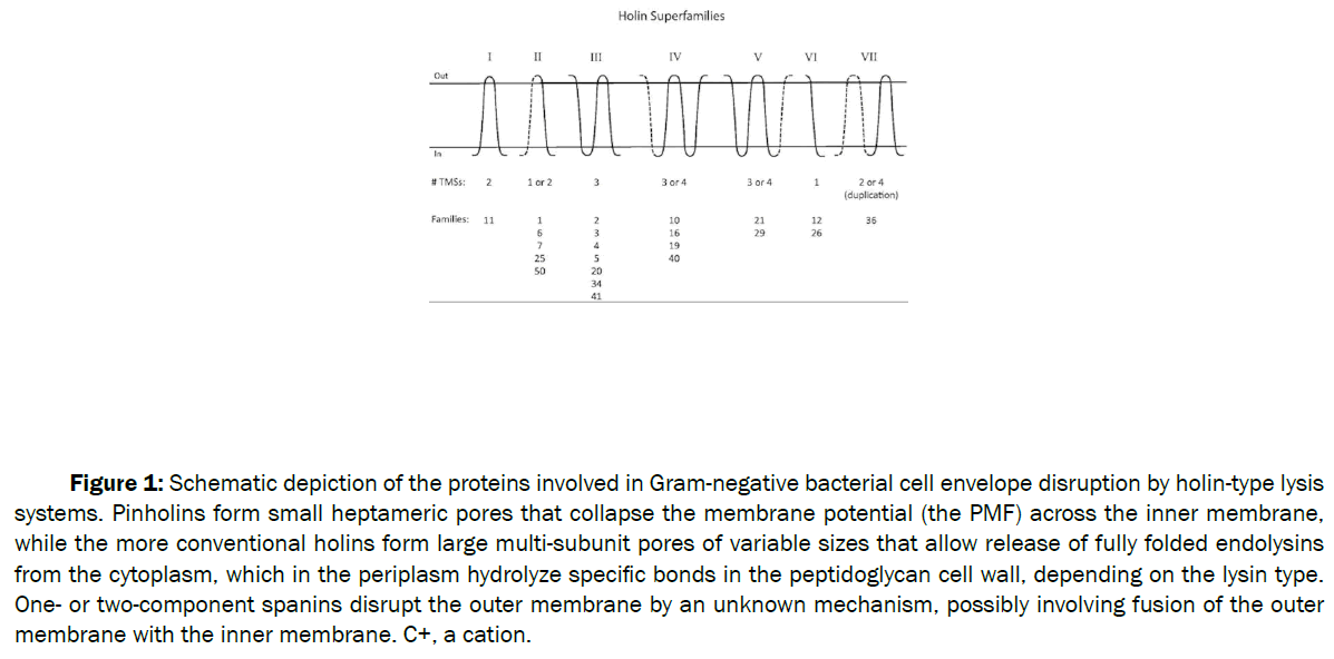 microbiology-Schematic-depiction