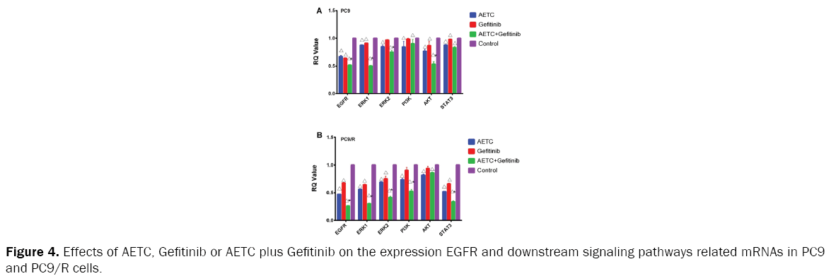 microbiology-and-biotechnology-AETC-plus-Gefitinib-expression-EGFR