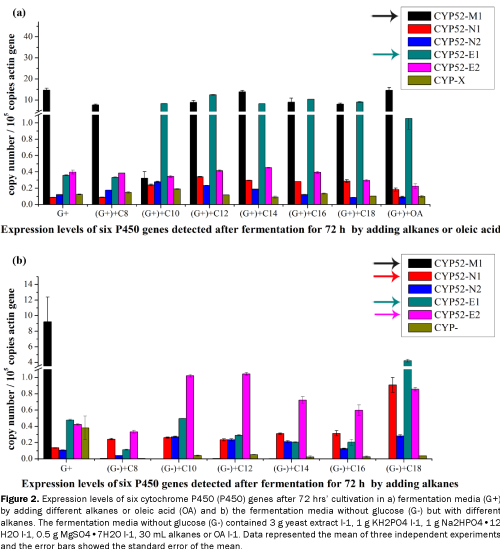 microbiology-and-biotechnology-Expression-levels-of-six