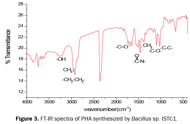 microbiology-and-biotechnology-FT-IR-spectra-PHA