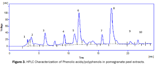 microbiology-and-biotechnology-HPLC-Characterization-of-Phenolic