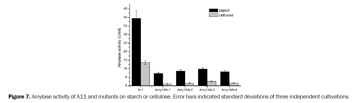 microbiology-and-biotechnology-amylase-activity