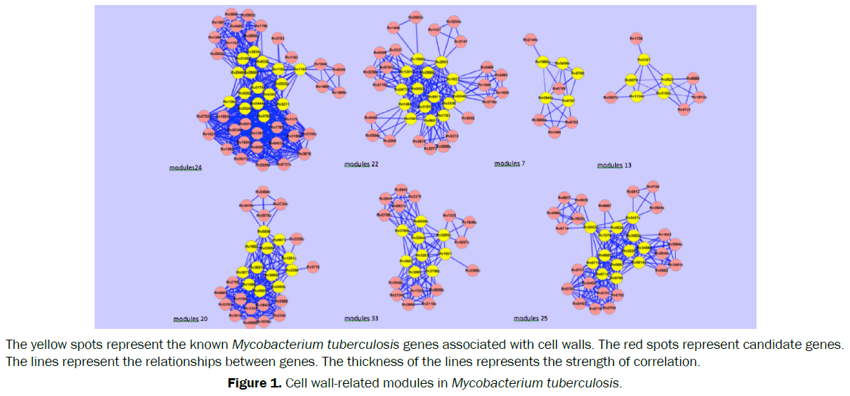 microbiology-and-biotechnology-cell-wall-related-modules