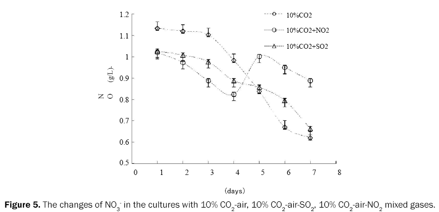 microbiology-and-biotechnology-changes-NO3-cultures