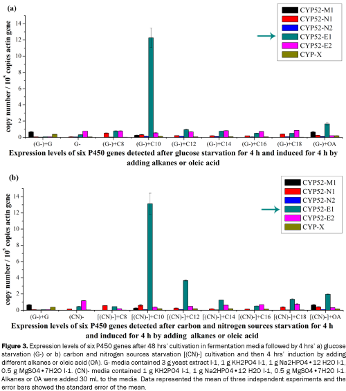 microbiology-and-biotechnology-cultivation-in-fermentation