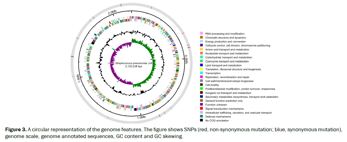 microbiology-and-biotechnology-genome-features