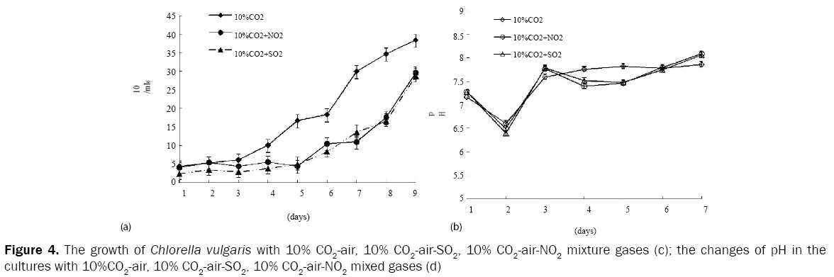 microbiology-and-biotechnology-growth-Chlorella-vulgaris