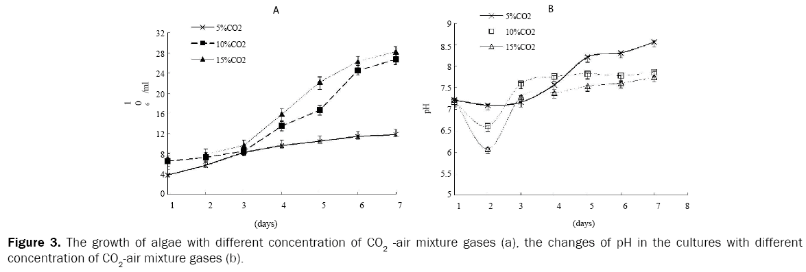 microbiology-and-biotechnology-growth-algae-different-concentration