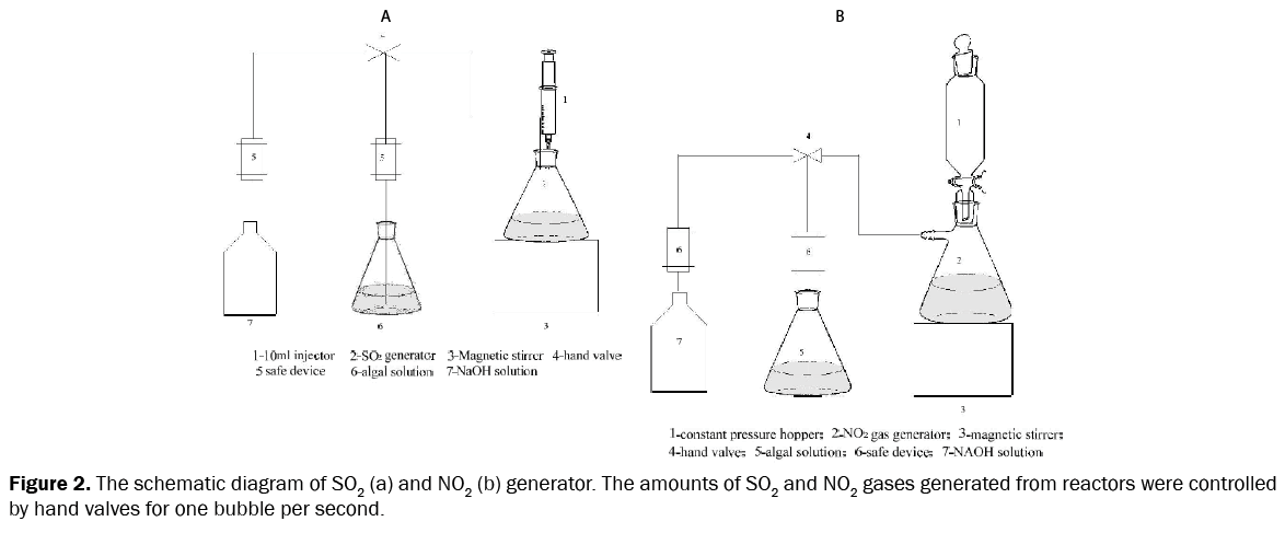 microbiology-and-biotechnology-schematic-diagram-SO2-NO2