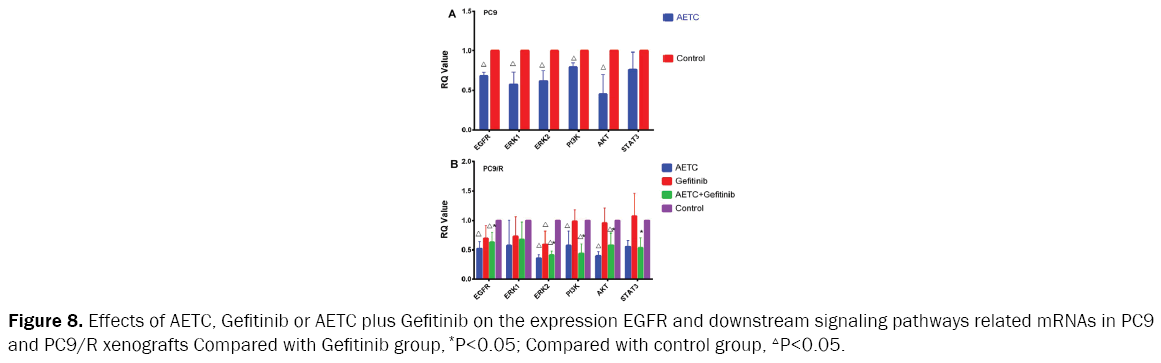 microbiology-and-biotechnology-xenografts-Compared-Gefitinib-group