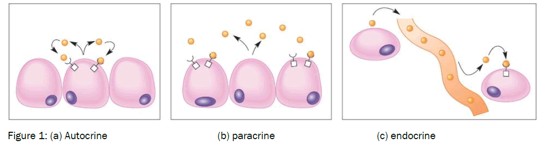 microbiology-biotechnology-Autocrine